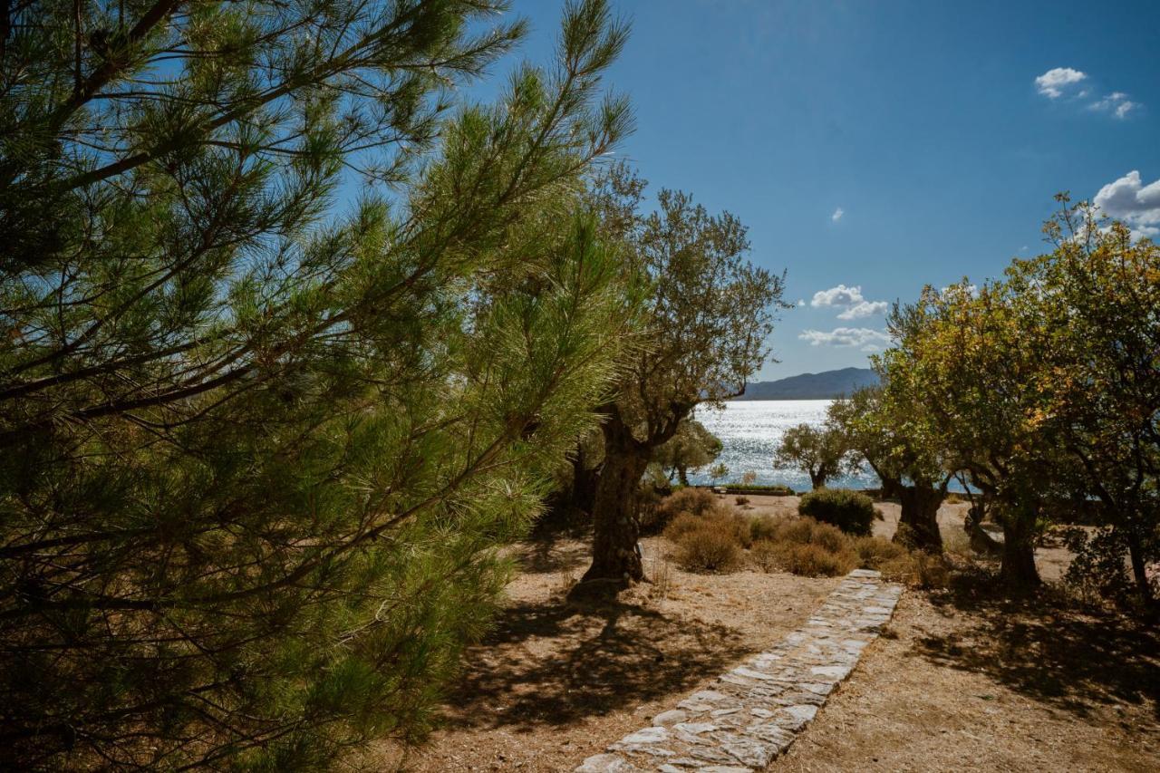 Seafront Traditional Stone House In Sunset Olive Grove - B Alyfanta Exterior photo